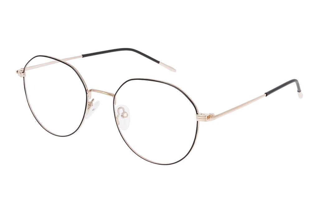 Montana   MM597 D Gold/Black/Gold