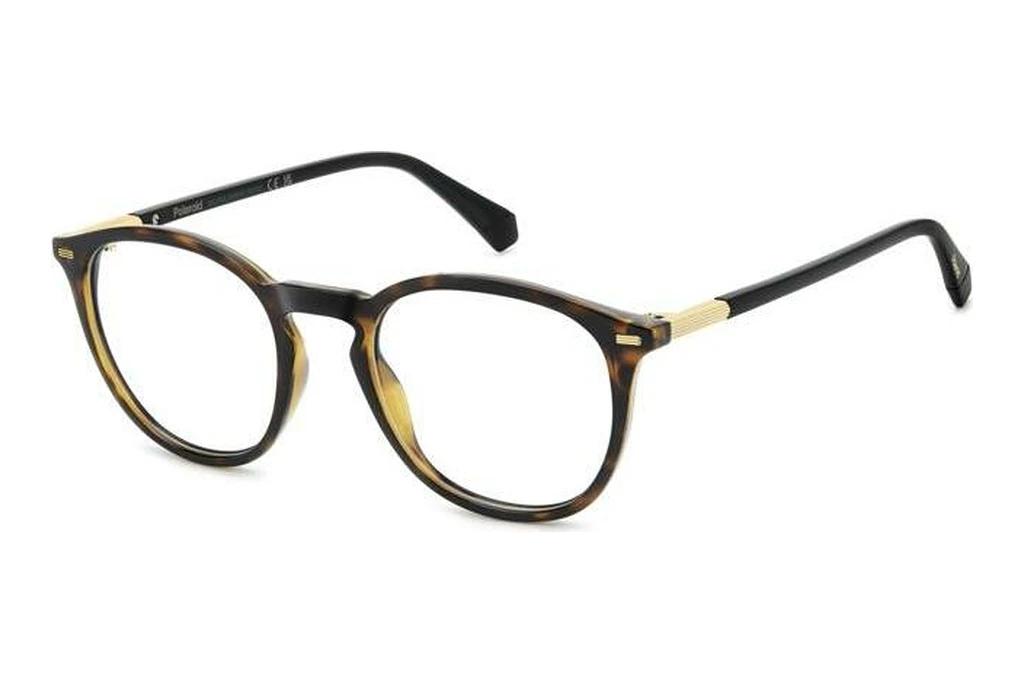 Polaroid   PLD D562 086 HAVANNA