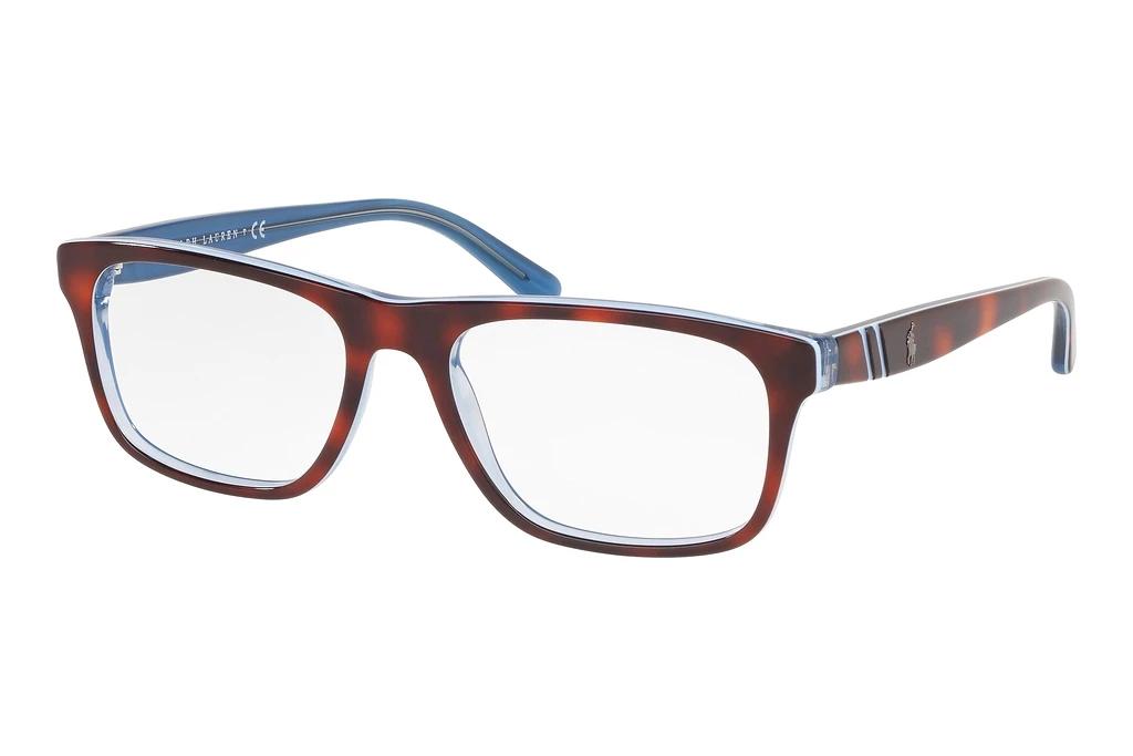 Polo   PH2211 5786 Havana/Azure/Transparent Azure