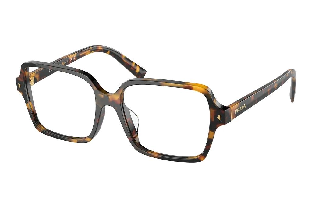 Prada   PR A02V VAU1O1 Havana Clear