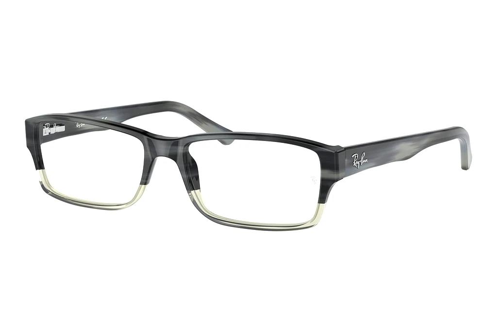 Ray-Ban   RX5169 5540 Grey