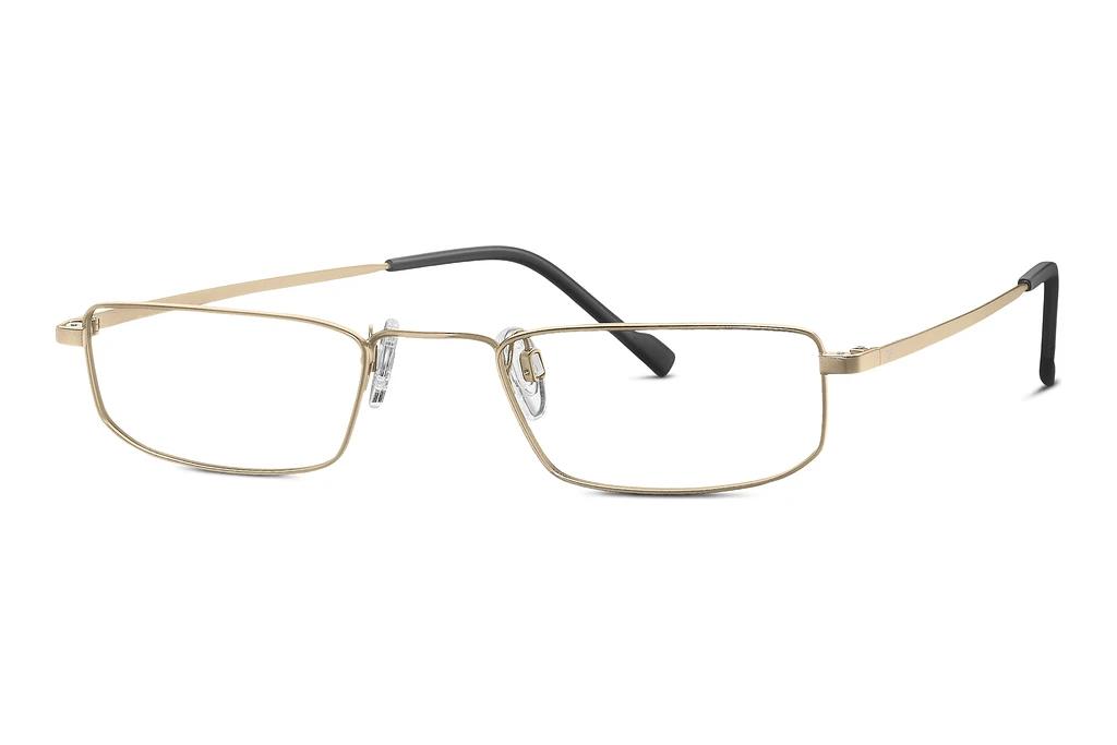 TITANFLEX   EBT 820955 20 gold