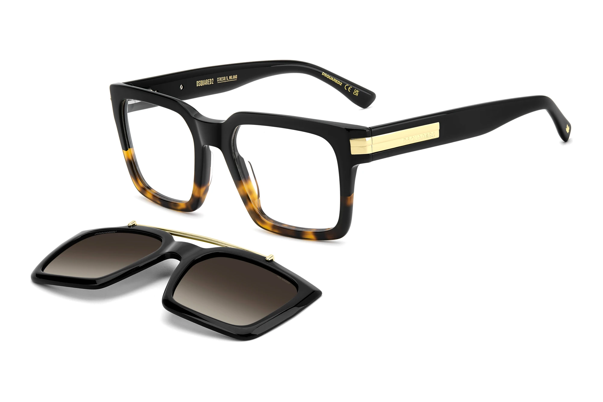Dsquared2   D2 0220/C WR7 BLACK HAVANA