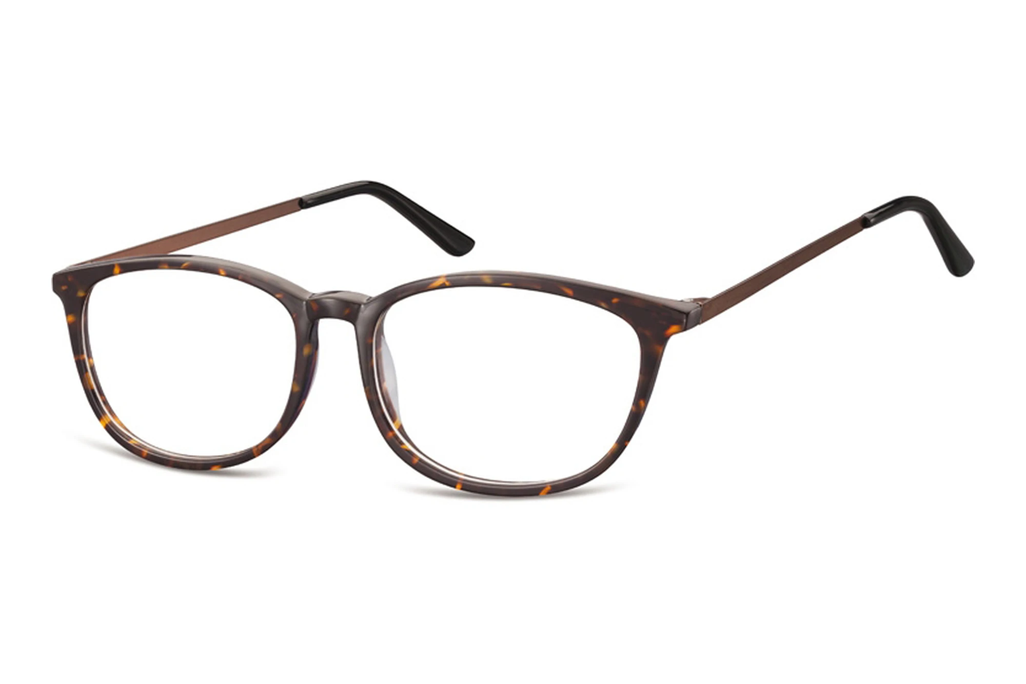 Fraymz   CP143 B Turtle