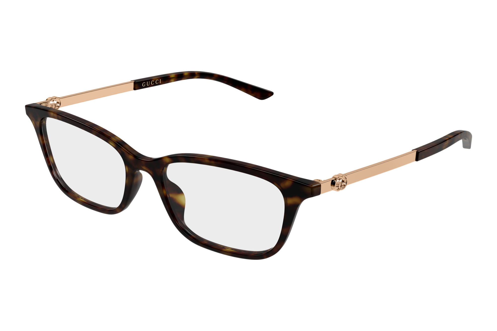 Gucci   GG2213O 003 HAVANA