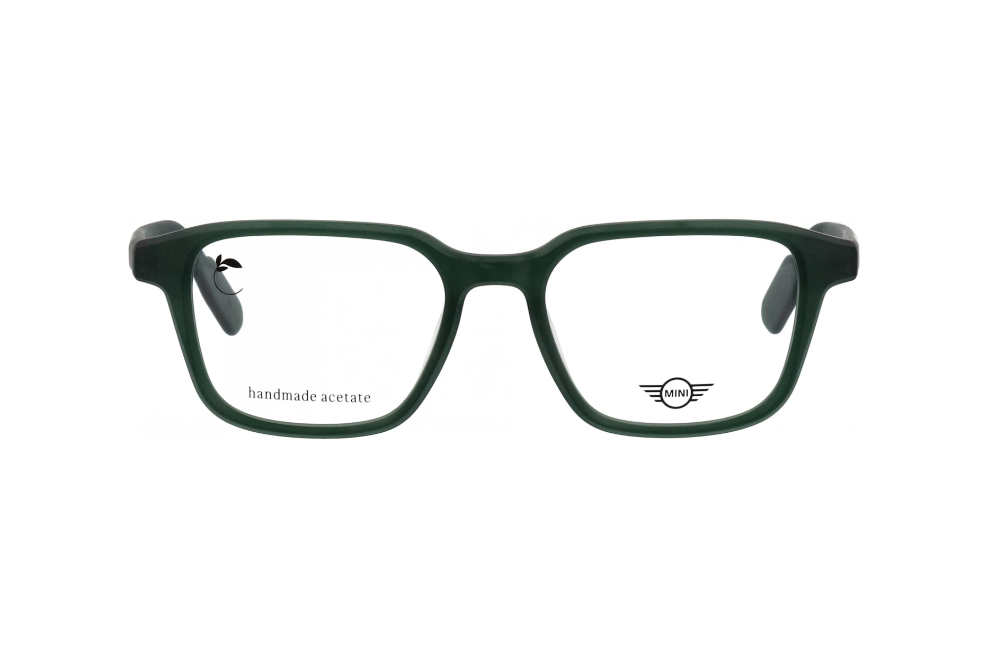 Vue de face MINI Eyewear MI 743029 (40)