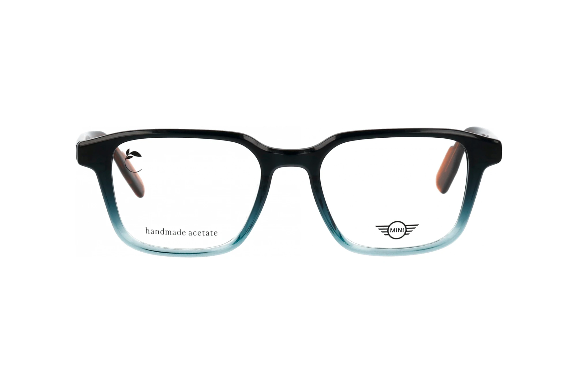 Vue de face MINI Eyewear MI 743029 (77)