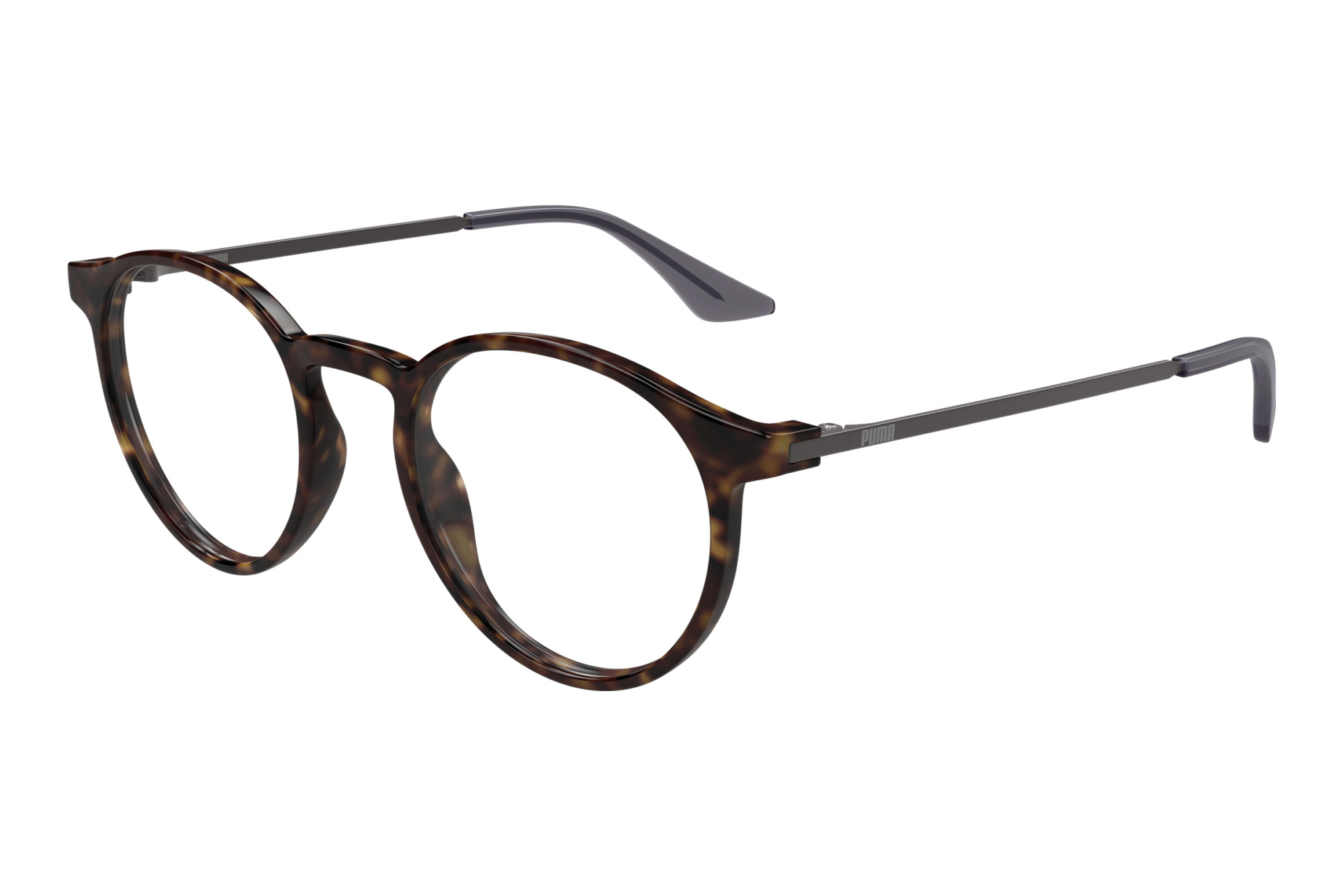 Puma   PU0524O 003 HAVANA