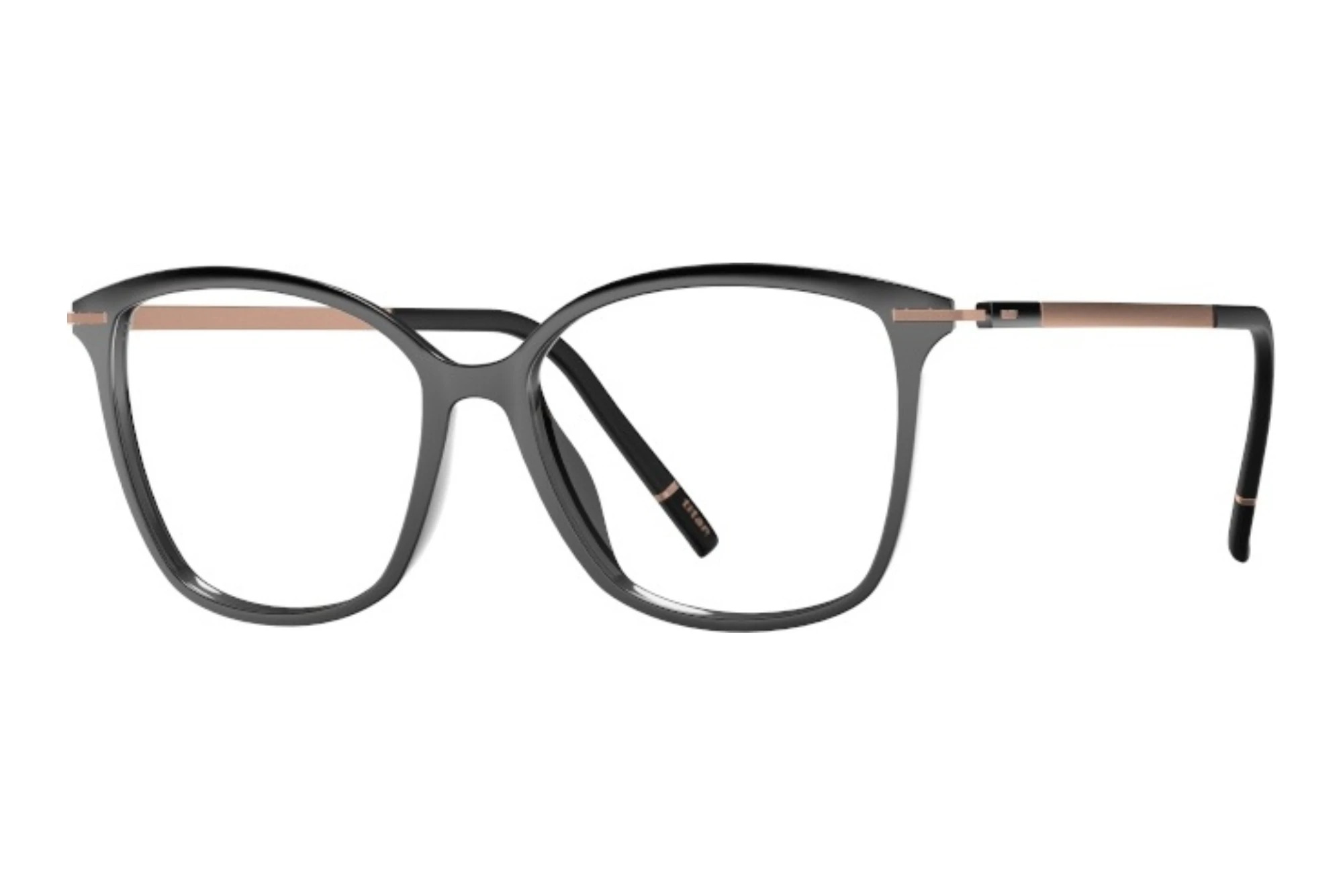 Silhouette   1619 9030 Jet Black