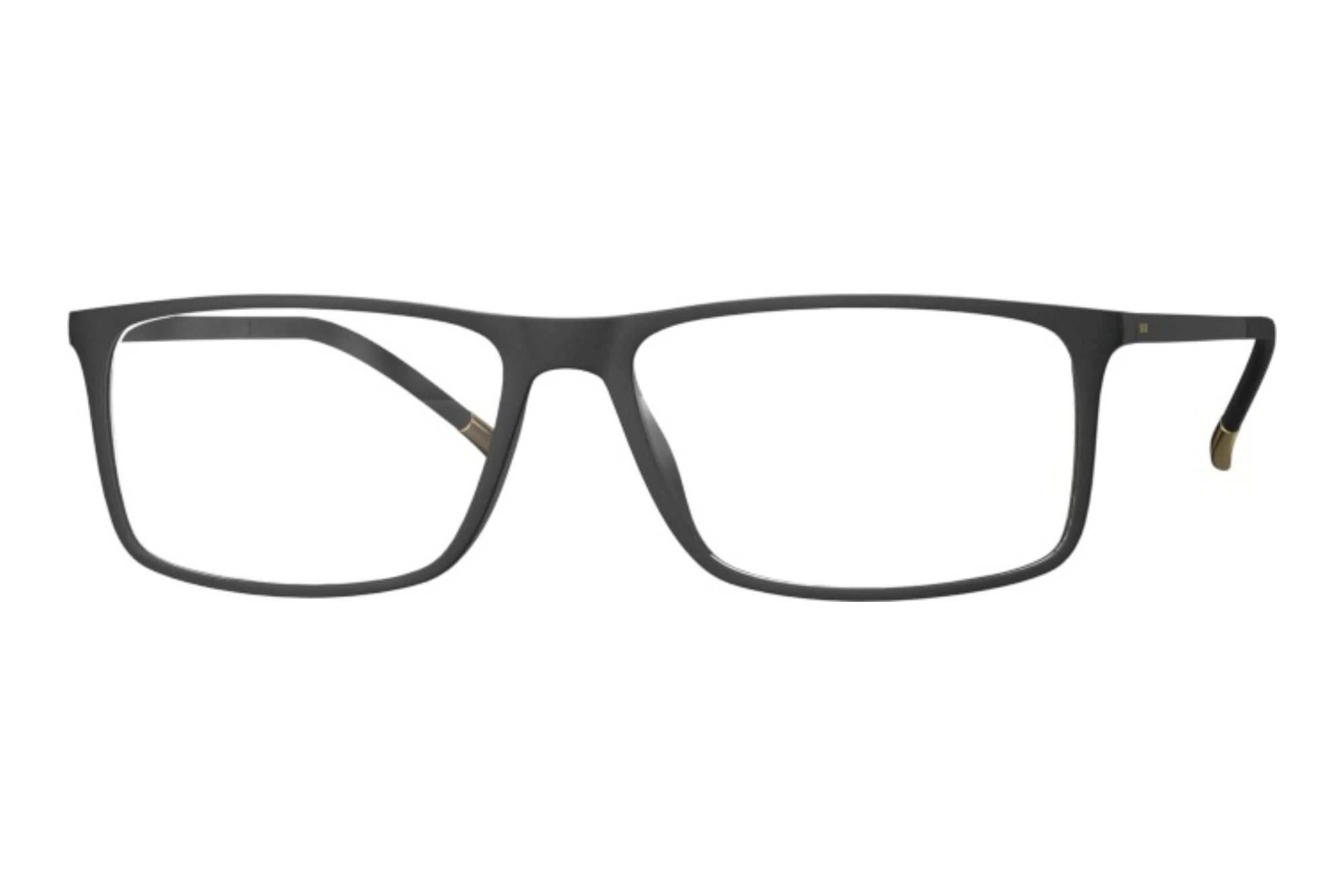 Silhouette   2941 9030 Black Matte