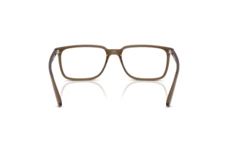 Vue arrière Arnette JECKO (AN7280 - 2997)