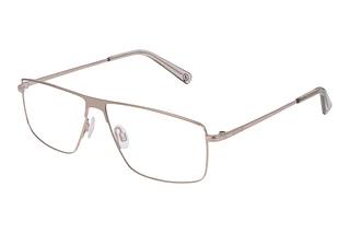 Bogner 63021 8100 Gold