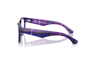 Vue latérale Burberry BE2410 (4113)