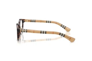 Vue latérale Burberry BE2473D (4216)