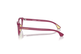 Vue latérale Burberry JB2011U (4134)