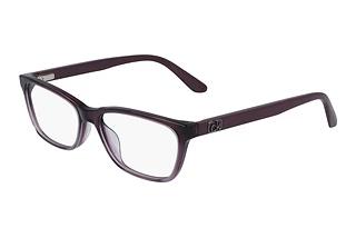 Calvin Klein CK20530 515 PURPLE PLUM GRADIENT