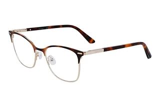 Calvin Klein CK21124 220 BROWN BROWN HAVANA