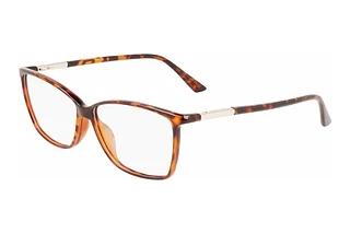 Calvin Klein CK21524 220 BROWN BROWN HAVANA