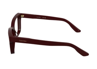 Vue latérale Calvin Klein CK25543 (606)