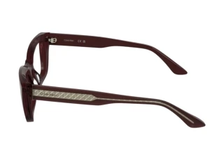 Vue latérale Calvin Klein CK25549 (605)