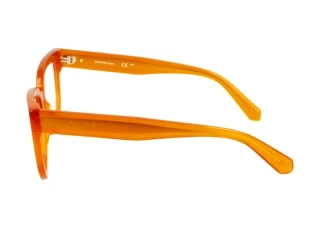 Vue latérale Calvin Klein CKJ24615 (201)