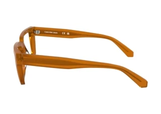 Vue latérale Calvin Klein CKJ24616 (201)