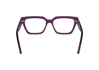 Vue arrière Calvin Klein CKJ25609 (208)