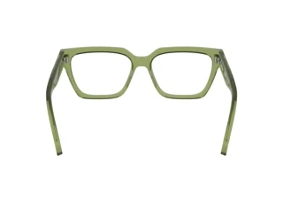 Vue arrière Calvin Klein CKJ25609 (746)