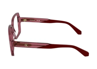 Vue latérale Calvin Klein CKJ26613 (600)