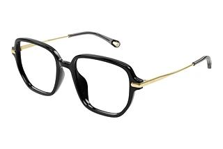 Chloé CH0218OA 001