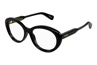 Chloé CH0223O 001
