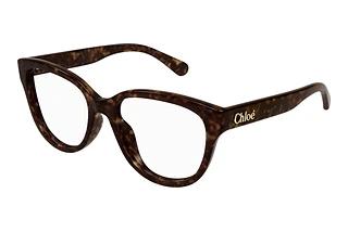 Chloé CH0243O 006 HAVANA