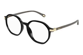 Chloé CH0249OA 001 