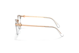 Vue latérale Coach HC5133D (5111)