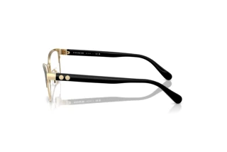 Vue latérale Coach HC5176 (9435)