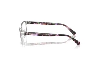 Vue latérale Coach HC5176 (9447)