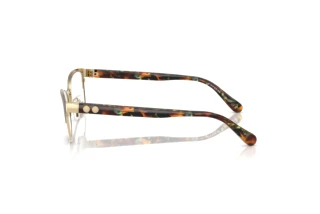 Vue latérale Coach HC5176 (9449)