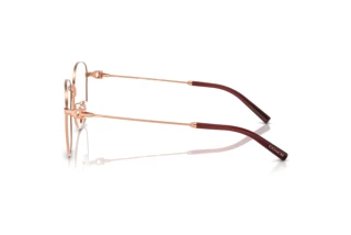 Vue latérale Coach HC5179D (9331)