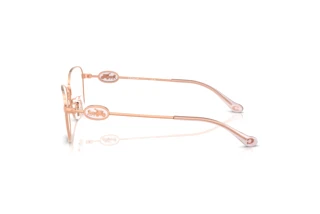 Vue latérale Coach HC5183 (9331)