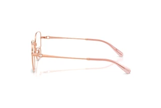 Vue latérale Coach HC5198TD (9407)