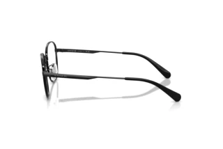 Vue latérale Coach HC5203 (9393)