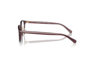 Vue latérale Coach HC6152D (5677)