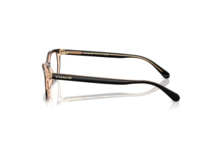 Vue latérale Coach HC6174 (5781)