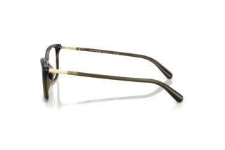 Vue latérale Coach HC6192U (5400)