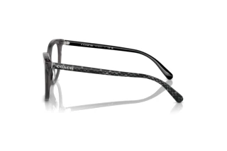 Vue latérale Coach HC6223U (5785)