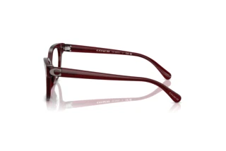 Vue latérale Coach HC6247U (5393)