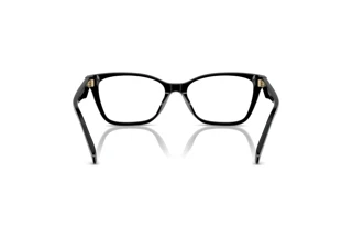 Vue arrière Coach HC6248U (5002)