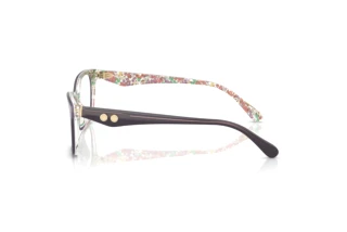 Vue latérale Coach HC6248U (5895)