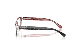 Vue latérale Coach HC6250U (5856)