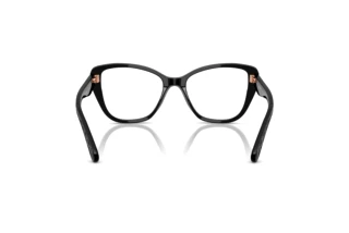 Vue arrière Coach HC6255U (5002)